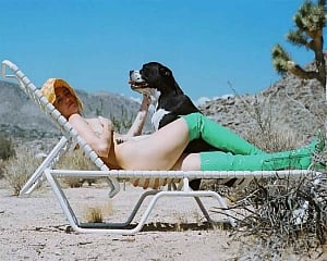 Miley Cyrus poses nude with dog