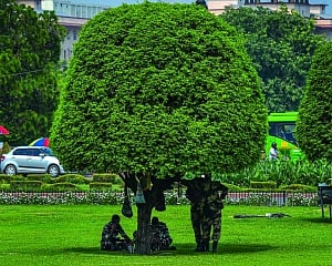 Monsoon delayed, but summer past its prime in Delhi