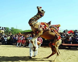Music of the sand dunes