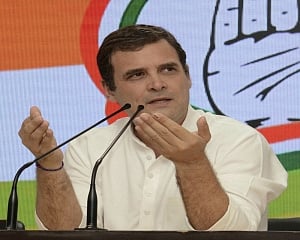 New Congress MPs to work as pride of lions: Rahul