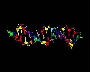 New DNA-like molecule to aid search for alien life