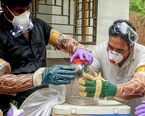 Nipah virus: Six suspected patients test negative