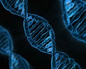 Novel DNA tool lets you trace your ancestry
