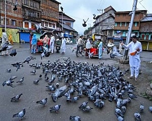 Over 90 pc of Kashmir free of daytime restrictions, says J-K principal secy