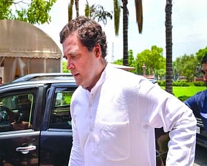 Owning defeat, Rahul quits
