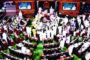 Parliament pandemonium