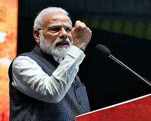 PM releases tiger census report, their population doubles since 2014