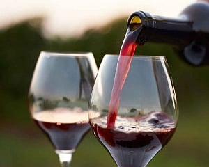 Red wine compound may help Mars explorers preserve muscle mass: Study