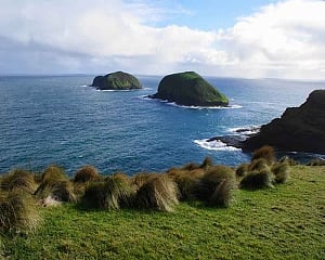 Remote Cape with 'world's cleanest air' offers smog respite