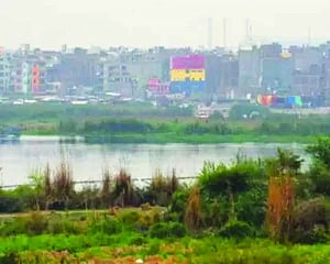 Revive flood plains