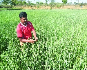 Revolutionise the farm sector
