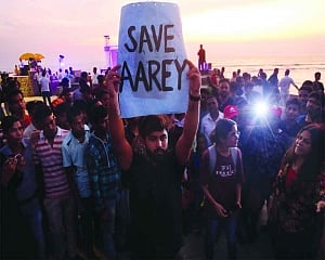 SC saves Aarey for now