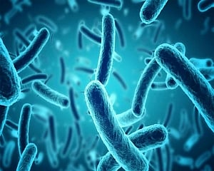 Scientists develop device to detect bacteria in minutes, not days