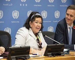Security Council will not be discussing Kashmir issue: Council President UK Amb Pierce