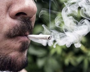 Smoking marijuana leads to junk food binge
