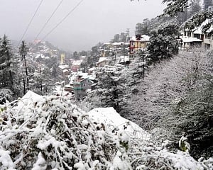 Snow blankets Manali, Kufri, Dalhousie