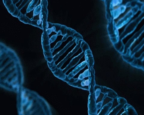 Soon, 3D printed tissues to help heal bone, cartilage