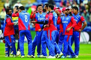 Survival of the fittest
