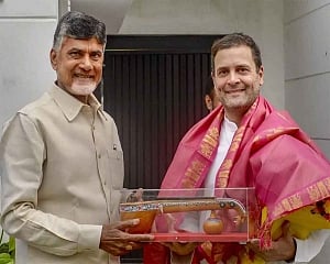 TDP chief Naidu meets Rahul; discusses firming up anti-BJP front