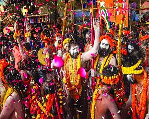 The stellar logic of Kumbh