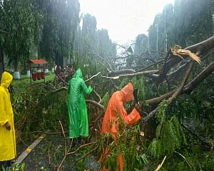 Three killed as Cyclone Fani batters Odisha