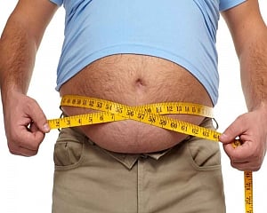 Treatment for obesity, fatty liver disease in the offing