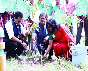 Tree plantation campaigns around the city