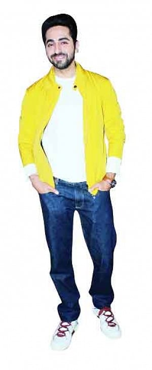 Trend Blazer