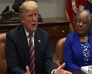 Trump takes aim at problem of toilets flushed '15 times'