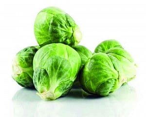 WarmFoods