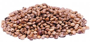 WarmFoods
