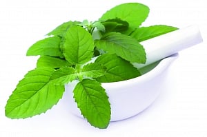 WarmFoods