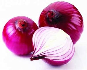WarmFoods