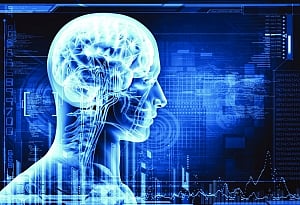 What are you programmed for?