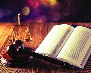 White elephant of dispute settlement
