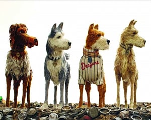 Who let the dogs out?
