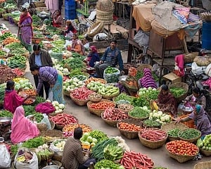 Wholesale inflation in July falls to multi-year low of 1.08 pc