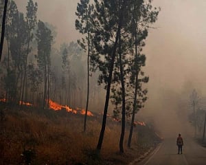 Winds revive Portugal wildfires