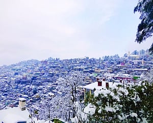 Winter vicissitudes: Reminiscences on the waning of a season