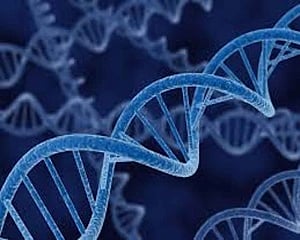 World's first gene-edited babies may be at early death risk: Study