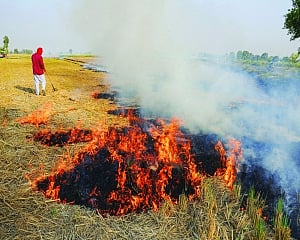 5-fold spike in stubble burning set to choke north India