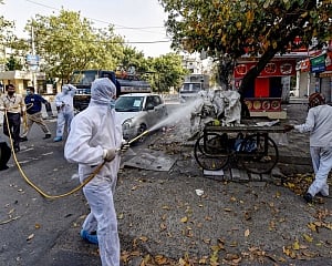 55 new coronavirus cases reported in Guj; state tally 241