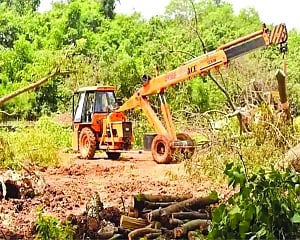 Aarey forest stays, car shed goes
