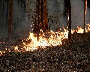 Australia heatwave renews bushfire worries