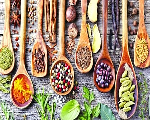Ayurvedic shield
