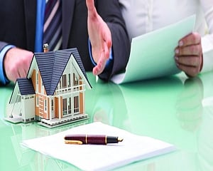 Build a budding career