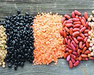 Centre to give 5.88L metric tonnes of pulses to States, UTs