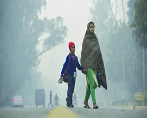 Cold wave grips Delhi, min drops to 4oC