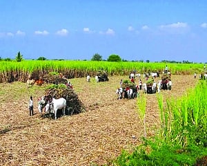 Cong Govts in States to bring Act to put farm laws on hold
