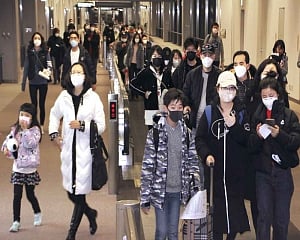 Coronavirus: 7 more under observation